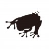 shibata