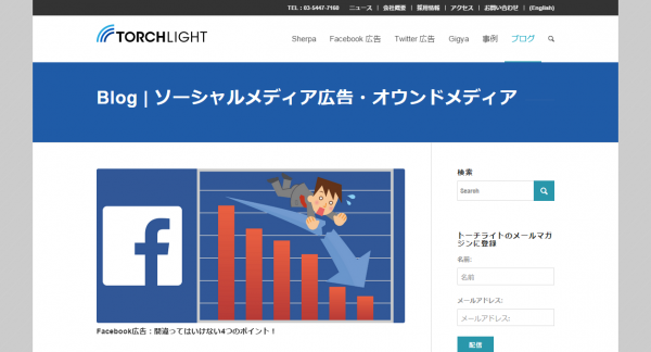 Torchlight Blog